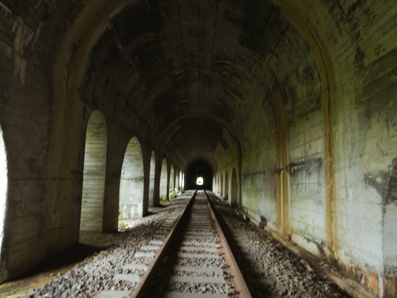 「日が差し込む廃線のトンネル」の写真