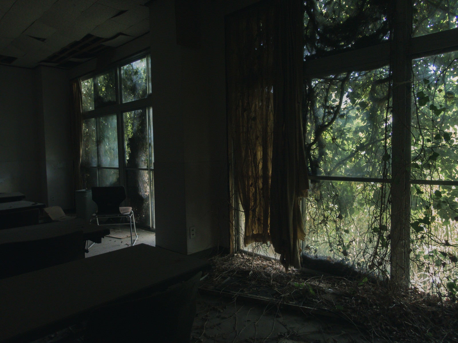 「廃墟の窓にかかるボロボロのカーテン」の写真