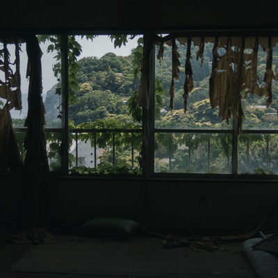 ボロボロのカーテンとボロボロの窓の写真