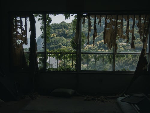 ボロボロのカーテンとボロボロの窓の写真