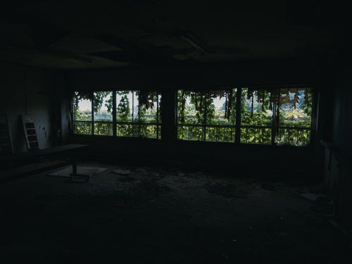 蔦の葉で覆われた廃屋の窓の写真