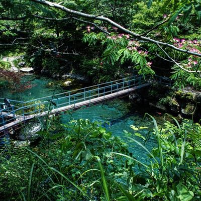 白竜湖に架かる静かな橋と透き通る水面の写真