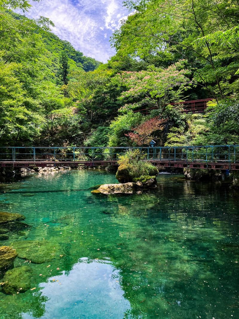 エメラルドグリーンの水をたたえる白竜湖の一角の写真