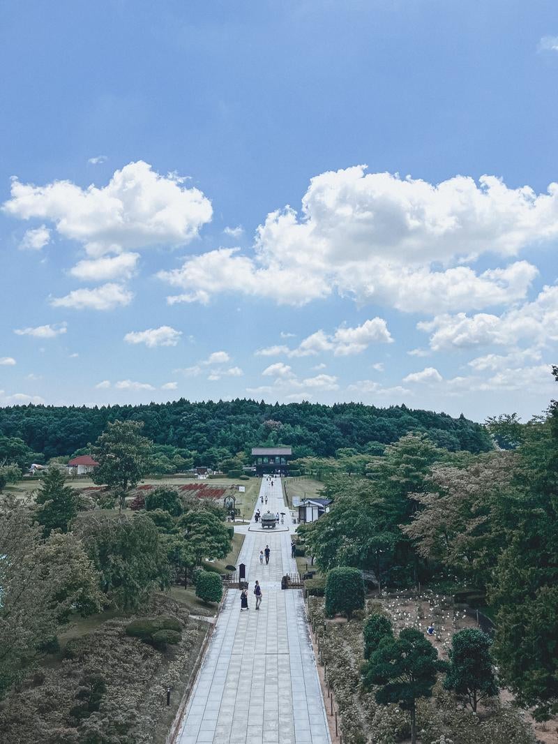 石畳が続く緑豊かな山間の荘厳な参道の写真
