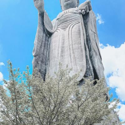 葉を茂らせた樹木と堂々と立つ牛久大仏の写真