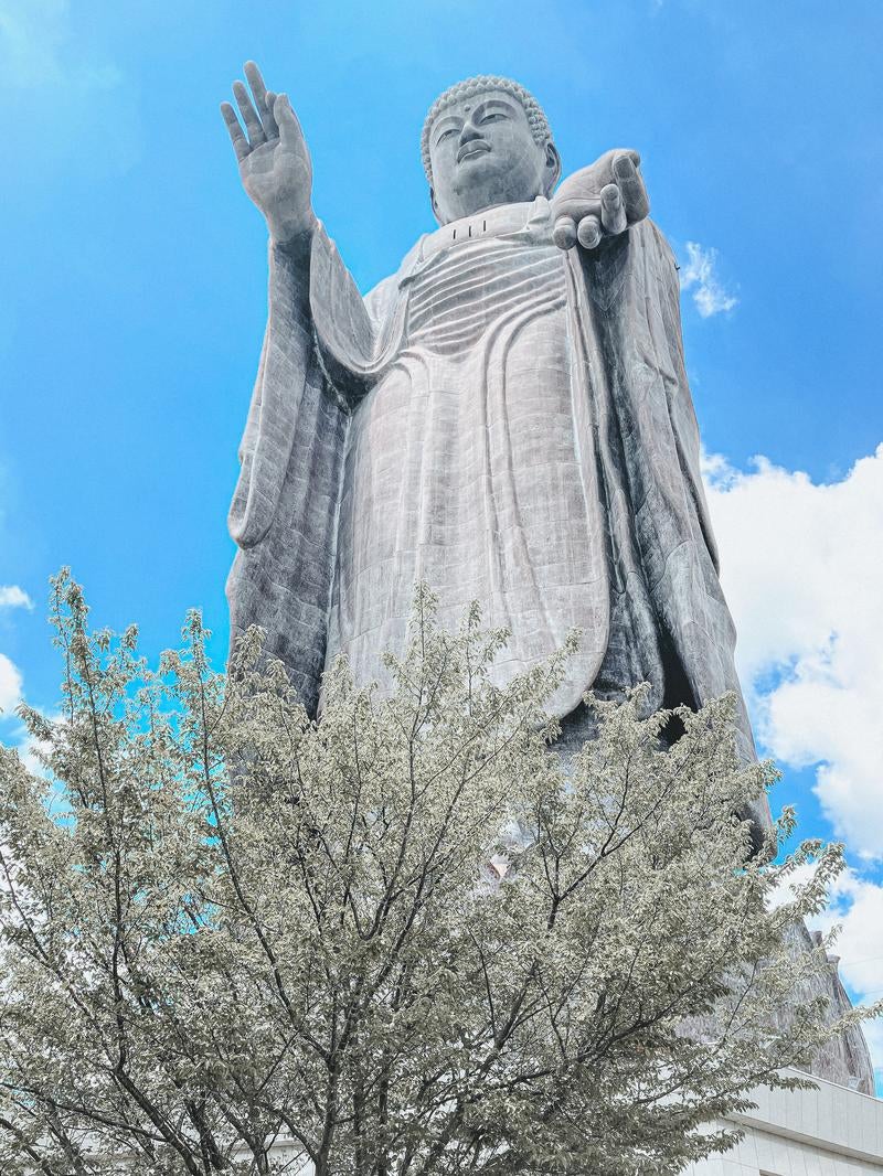 「葉を茂らせた樹木と堂々と立つ牛久大仏」の写真