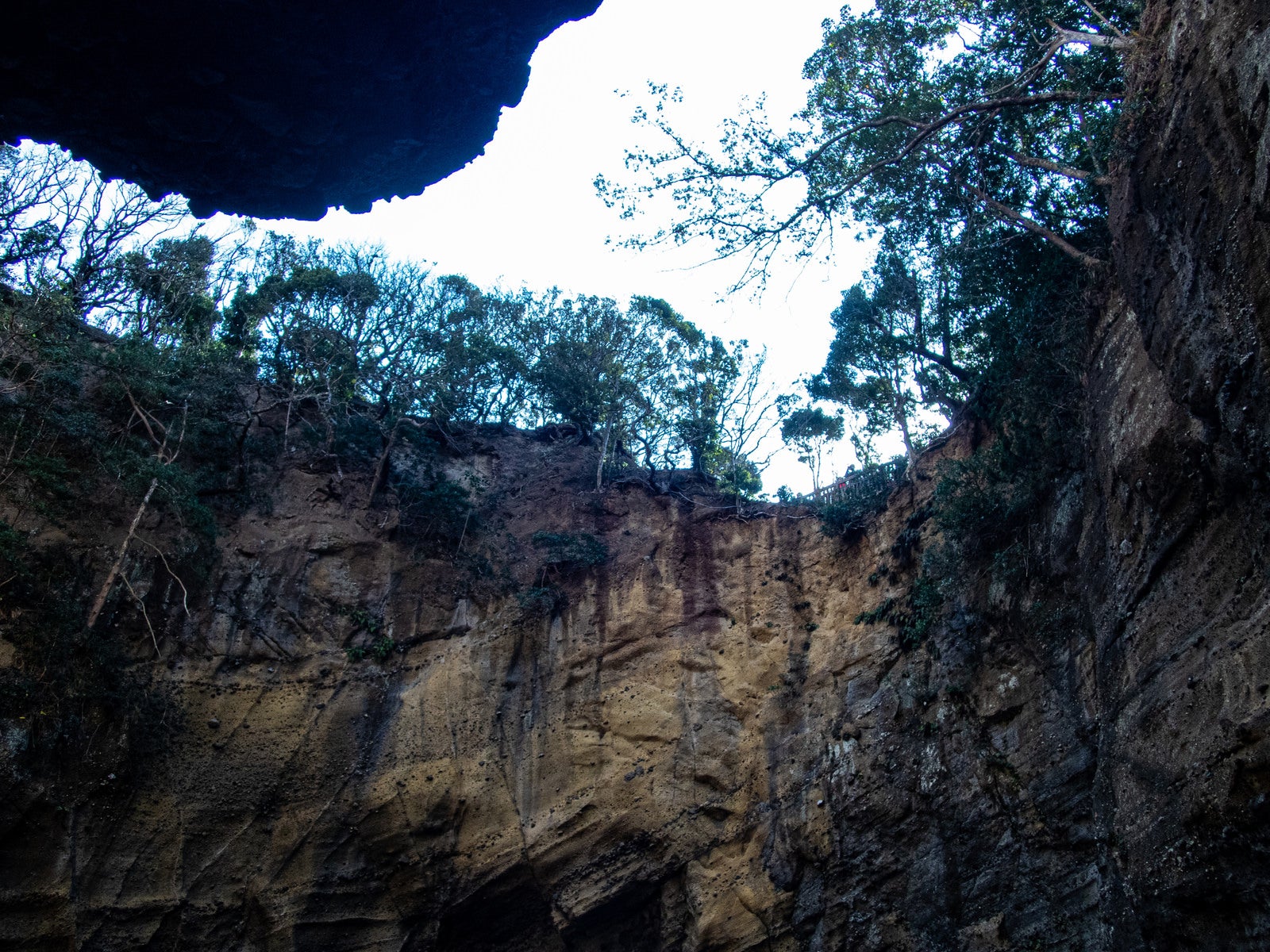 「竜宮窟の岩肌」の写真