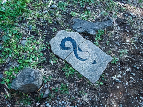 石に彫られた龍（ドラゴン）の紋章の写真