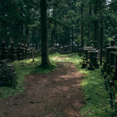 高野山の並ぶ墓石の写真
