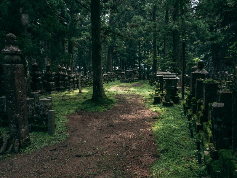 高野山の並ぶ墓石の写真