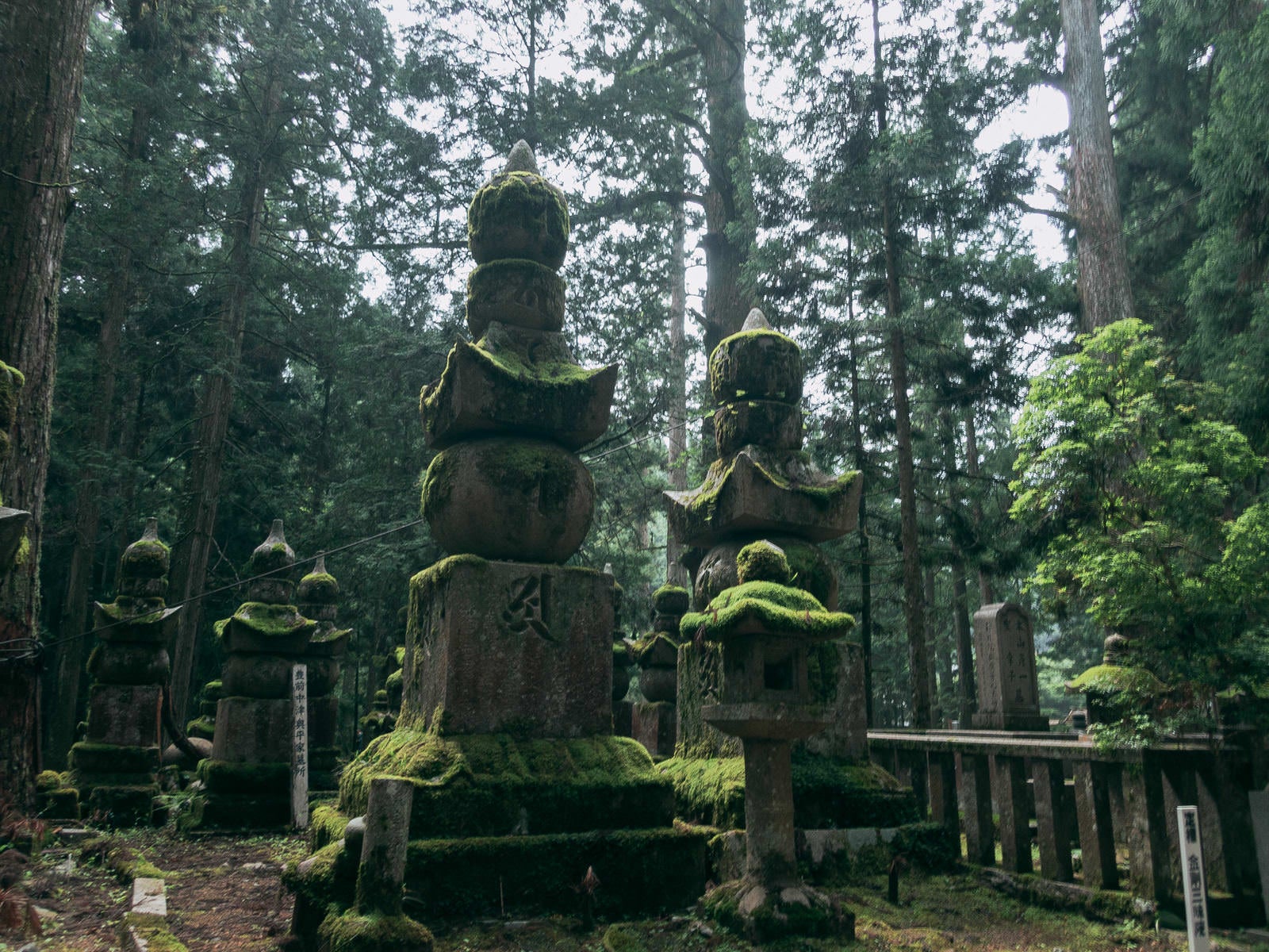 「日に照らされた苔生す高野山の墓標」の写真