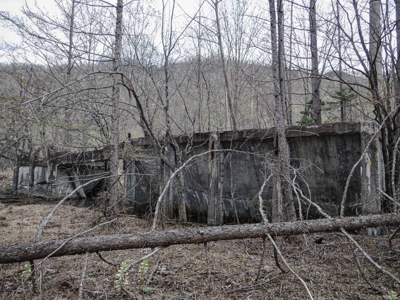 廃工場と倒木の写真