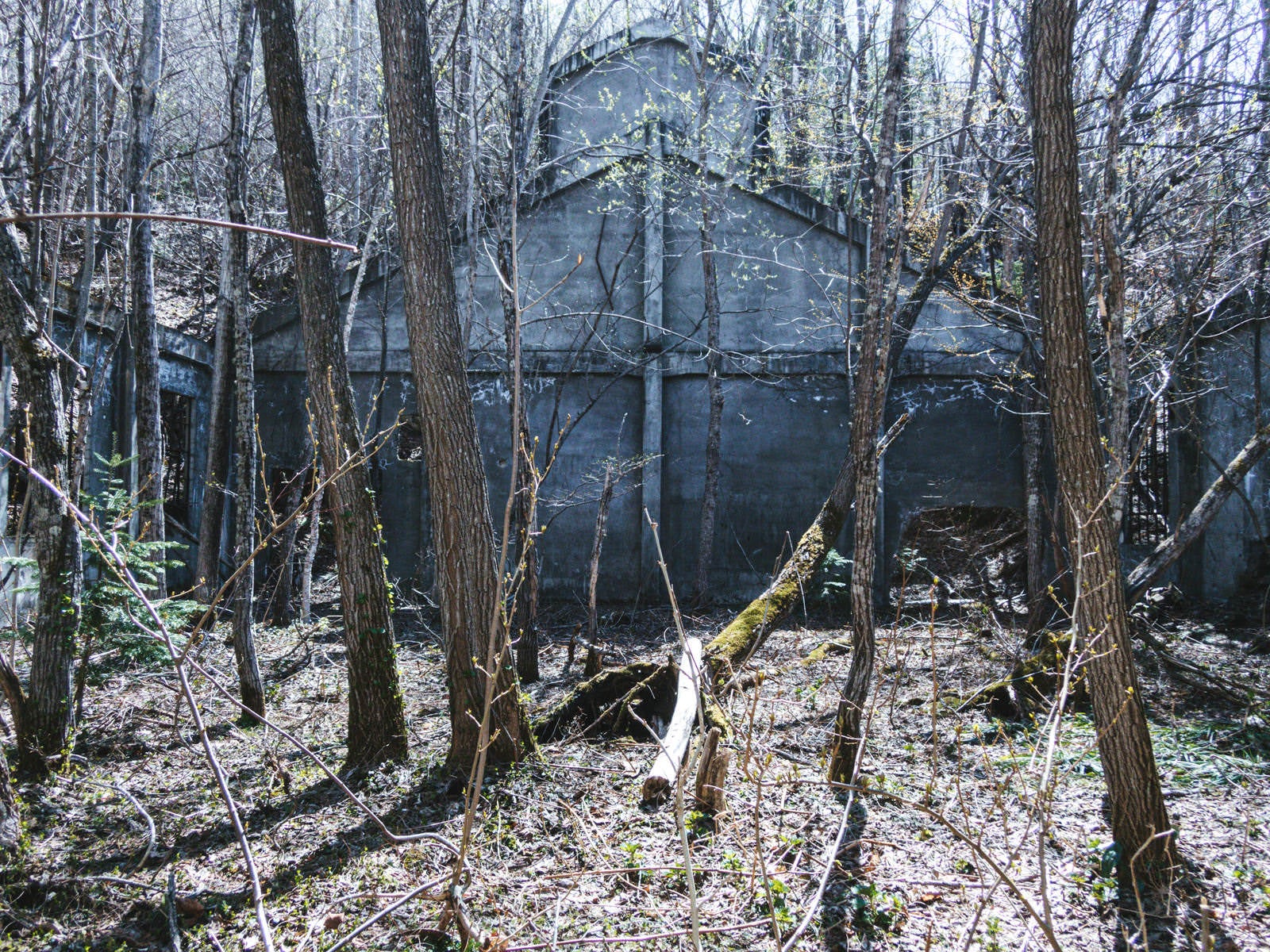 枯れ木の森に囲まれた古い廃工場建物