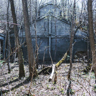 冬の木々に囲まれた古い廃工場の風化したコンクリート建物の写真