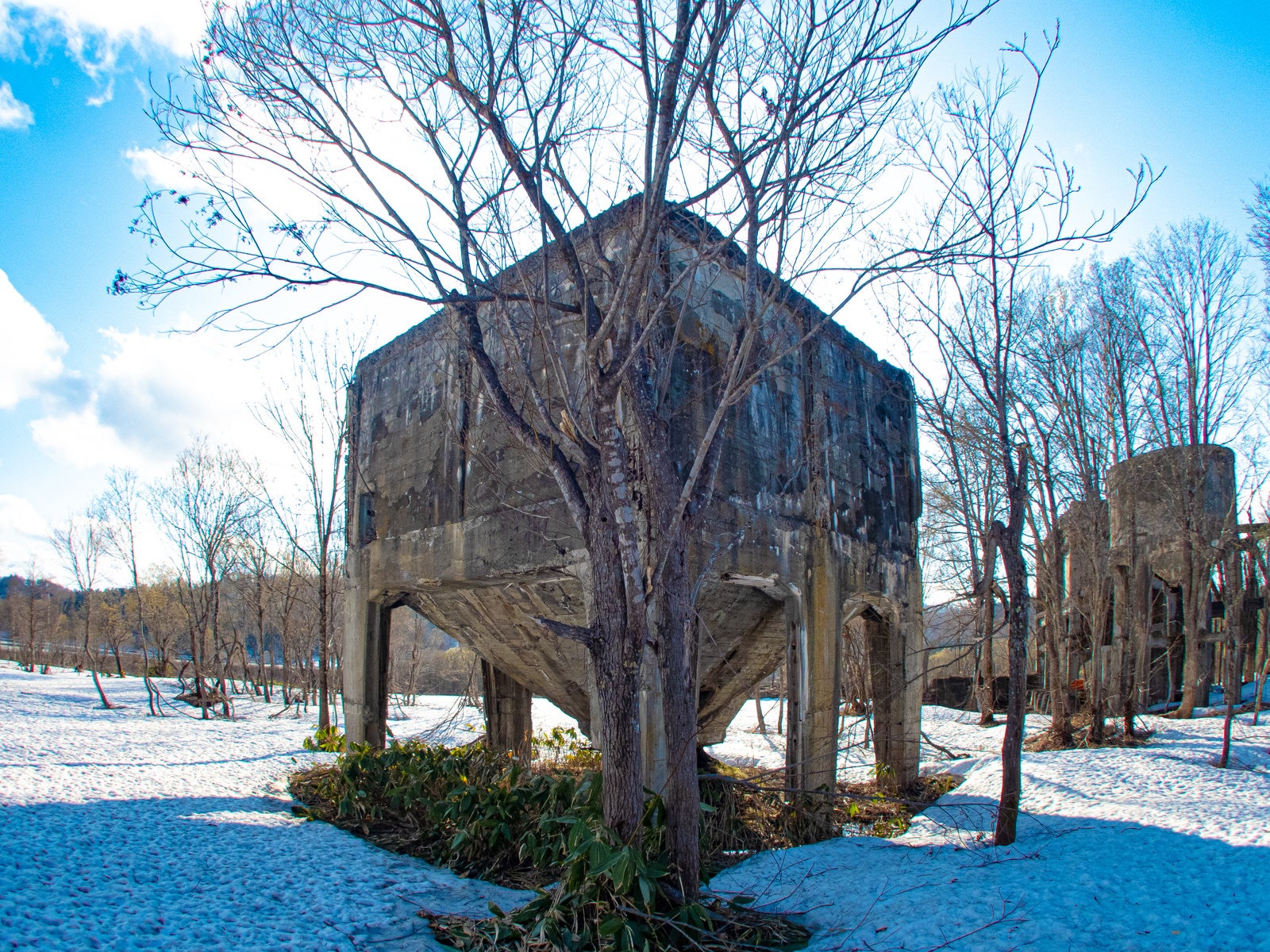 雪が残る廃工場のコンクリート製ホッパーと裸木
