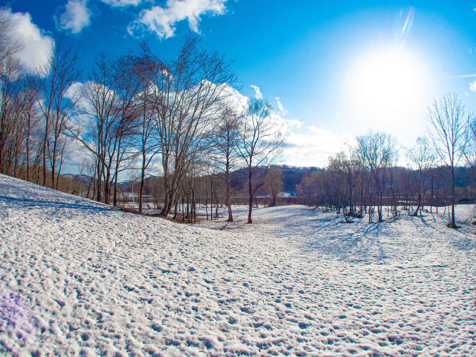「雪原と太陽」の写真