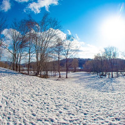 雪原と太陽の写真