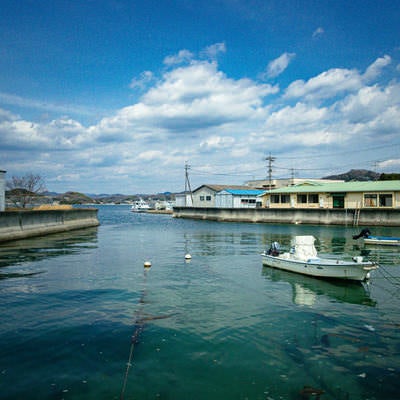 尾道の百島の港の写真