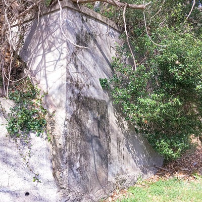 呉市のコンクリート擁壁と木々が共存する都市景観の写真