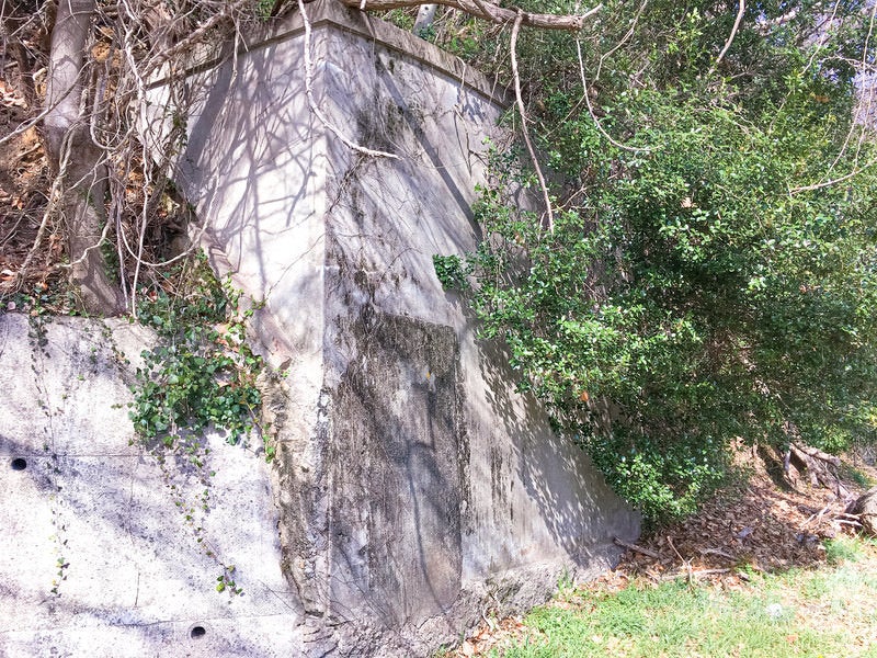 呉市のコンクリート擁壁と木々が共存する都市景観