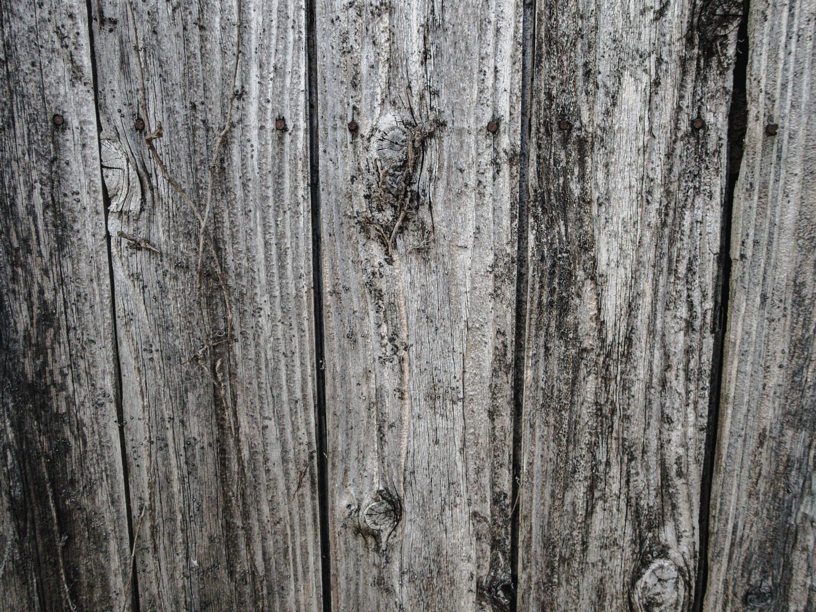 「豊後森扇形機関庫塀のテクスチャー」の写真