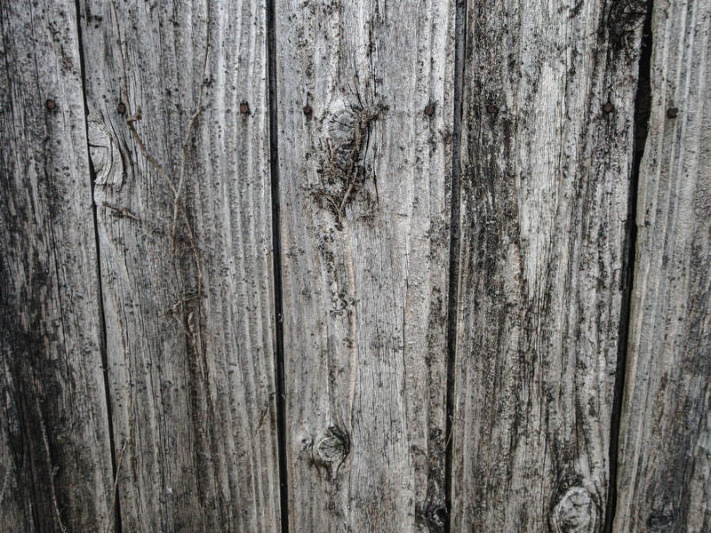 豊後森扇形機関庫塀のテクスチャーの写真