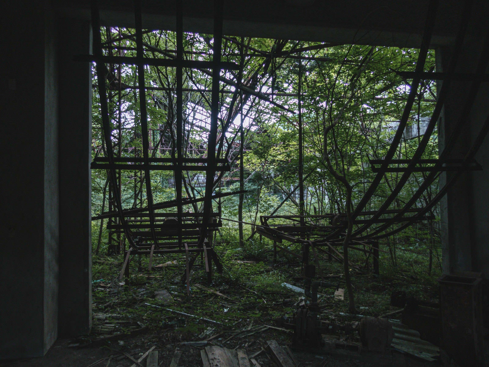 「落ちた天井と生い茂る廃工場の雑草」の写真