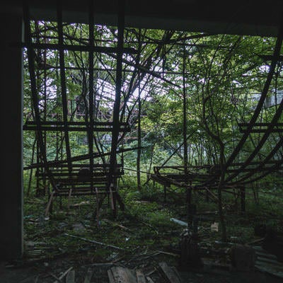 落ちた天井と生い茂る廃工場の雑草の写真