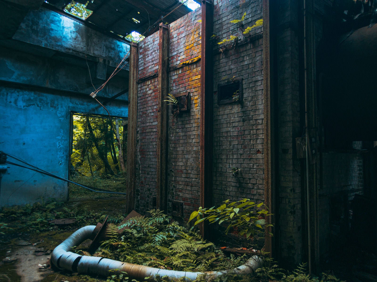 「廃工場内部のレンガの壁」の写真