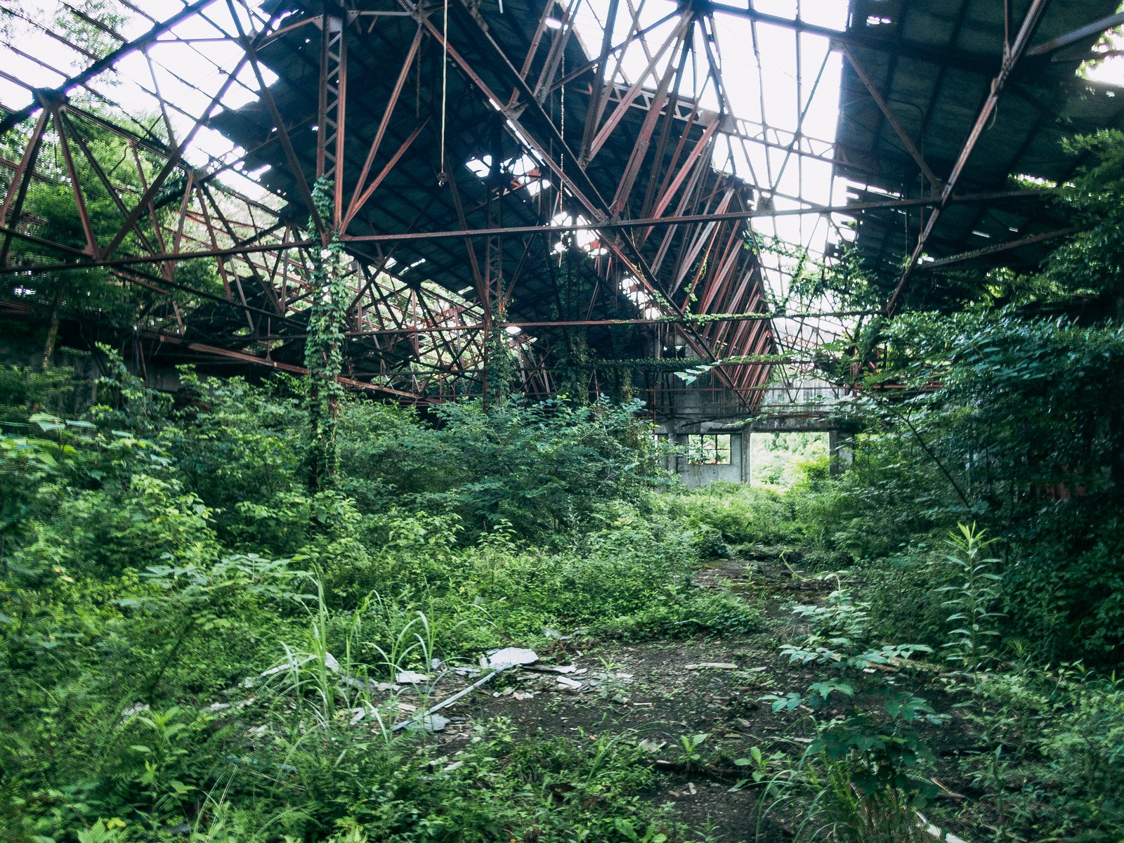 「朽ち果てた廃校工場から差し込む光」の写真