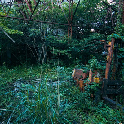 鬱蒼と生い茂る雑草と錆び付いたフォークリフトの写真