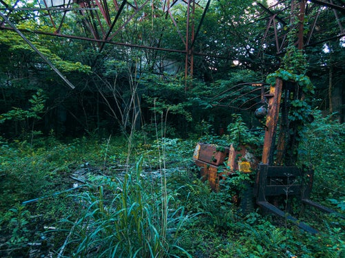 鬱蒼と生い茂る雑草と錆び付いたフォークリフトの写真
