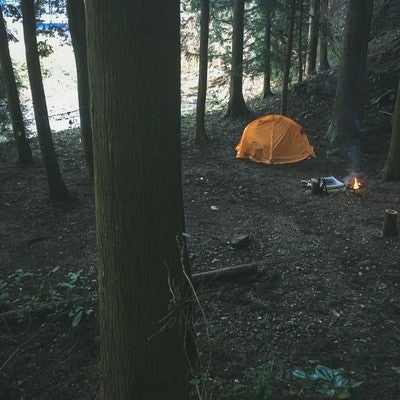森の中でソロキャンプの写真