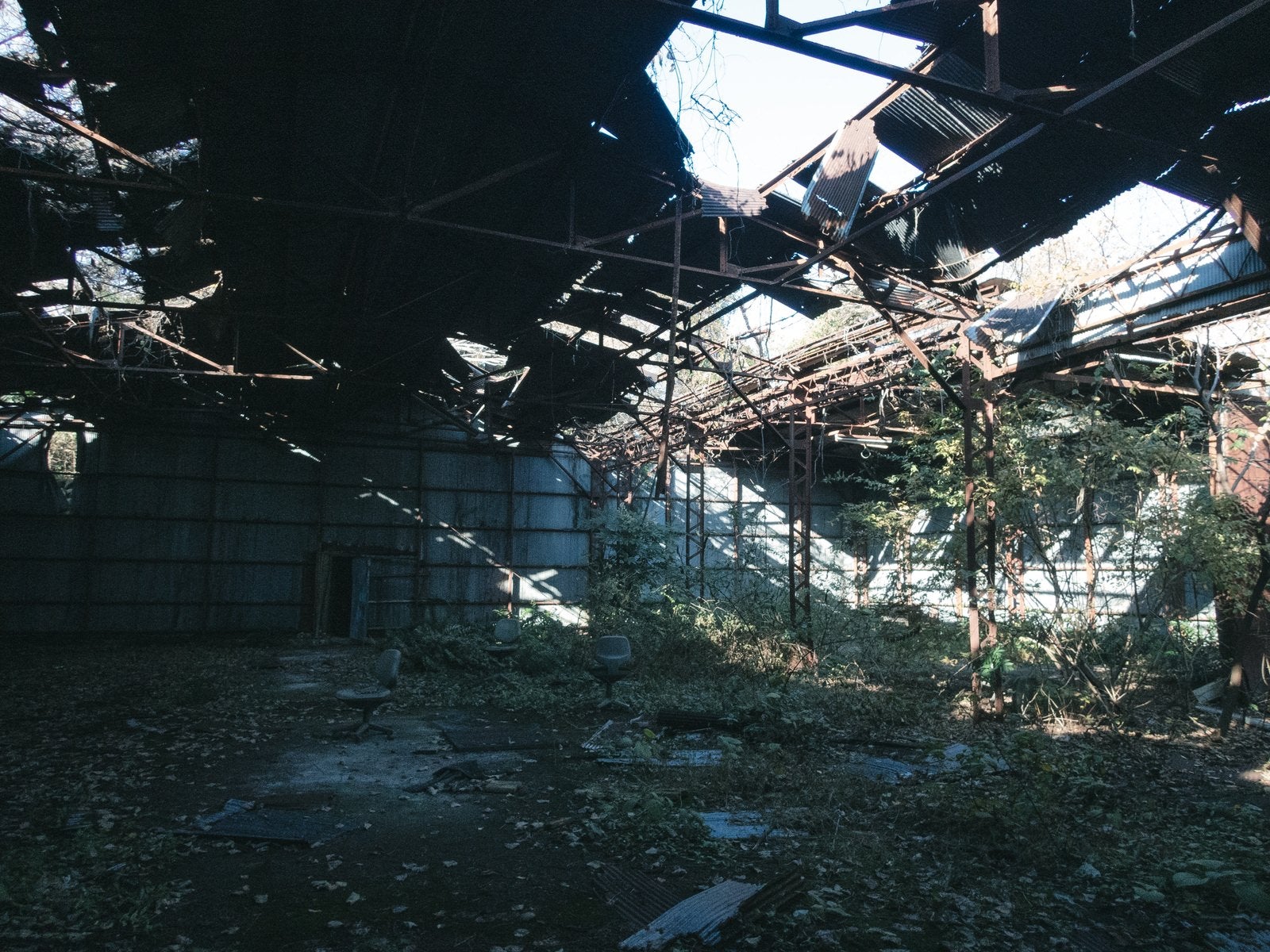 「崩れ落ちた屋根と置き去りの椅子」の写真