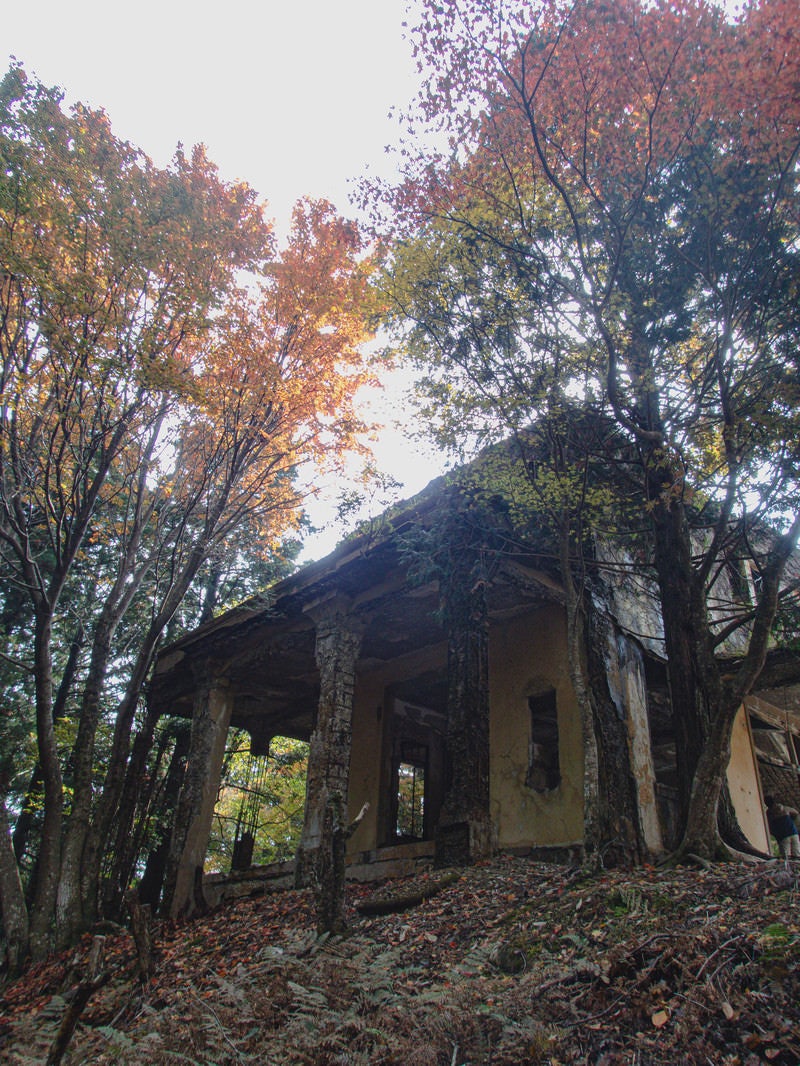 「紅葉した木々とケーブルカー駅舎跡」の写真