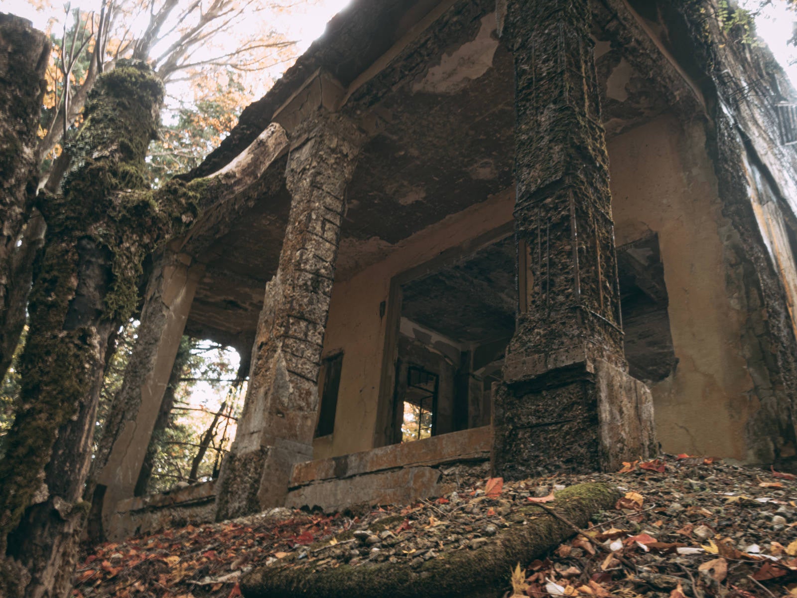 「ボロボロに劣化して剥がれ落ちた廃墟」の写真