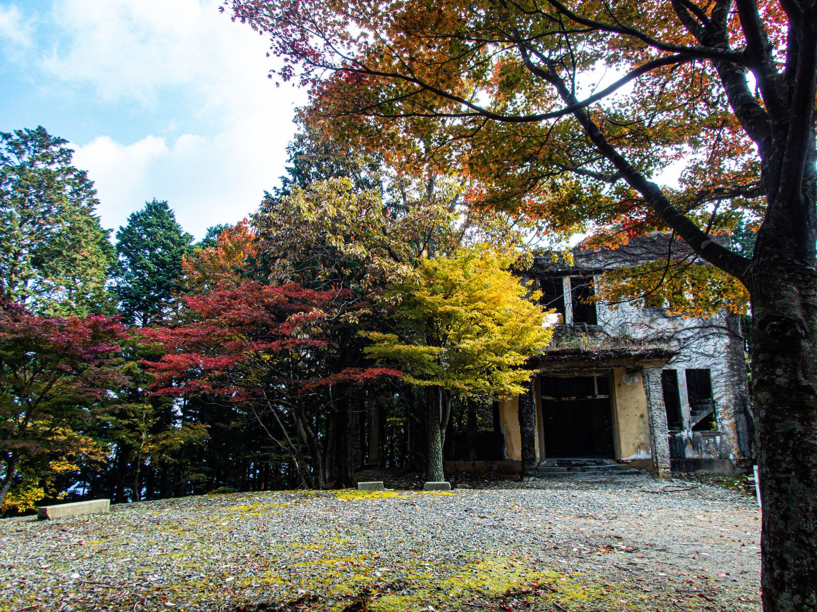 「見ごろを迎える紅葉とケーブルカー駅舎跡」の写真