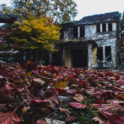 落葉越しに見るケーブルカー駅舎跡の写真