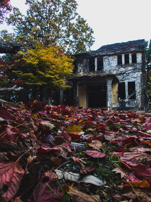 落葉越しに見るケーブルカー駅舎跡の写真