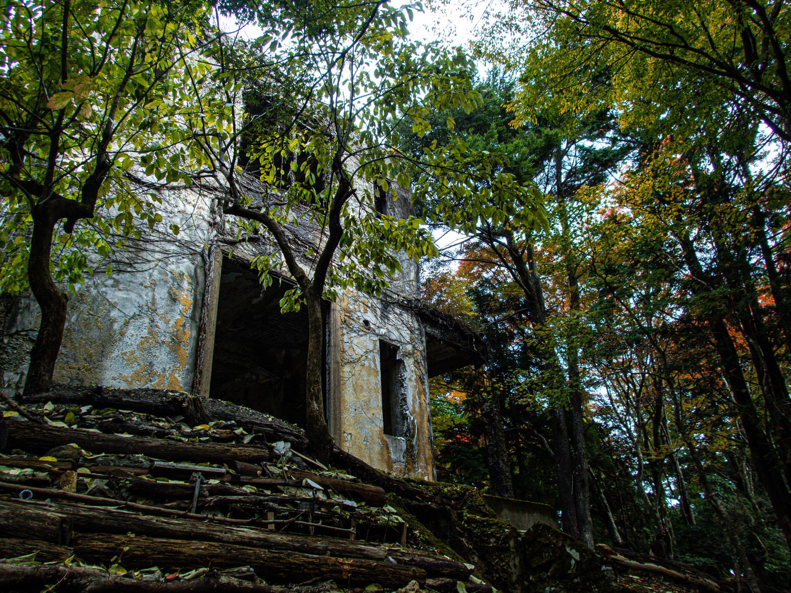 「森の中のケーブルカー駅舎跡」の写真