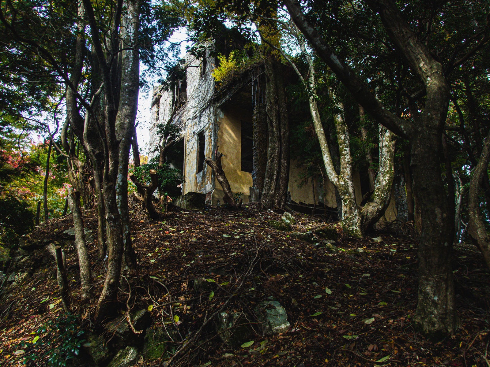 「不気味な森に佇むケーブルカー駅舎跡」の写真
