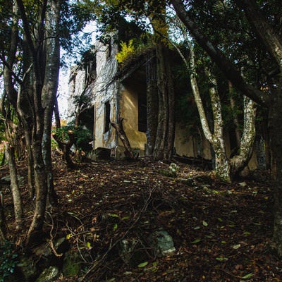 不気味な森に佇むケーブルカー駅舎跡の写真