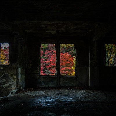 暗がりの廃屋の窓に浮かぶ上がる紅葉の写真