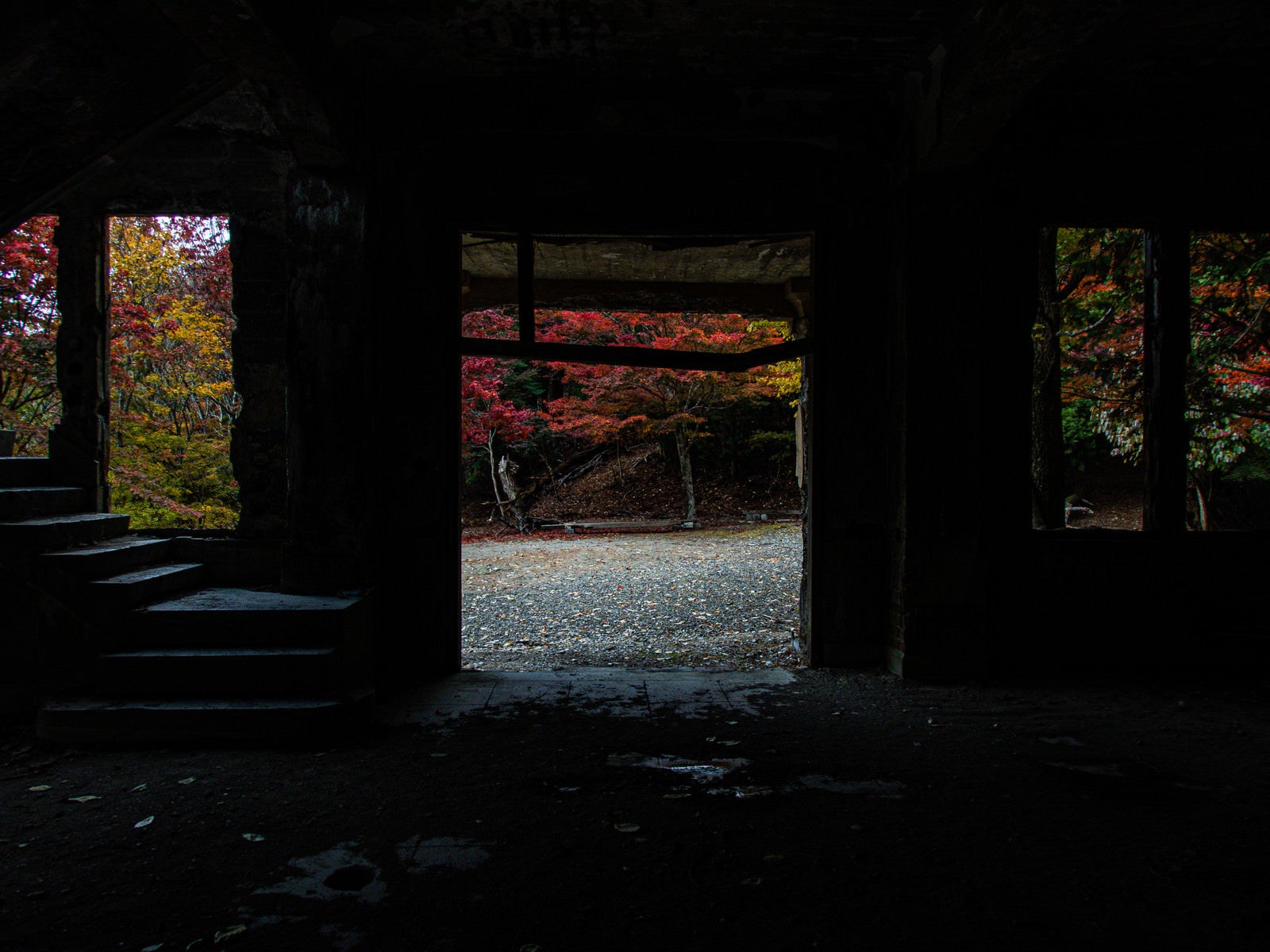「廃屋から見た外の紅葉」の写真