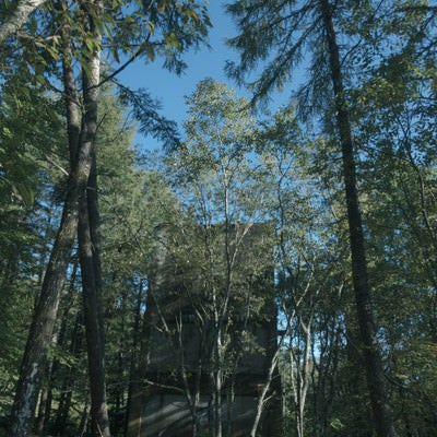 木々の奥に佇む炭鉱遺構の写真