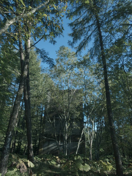 木々の奥に佇む炭鉱遺構の写真