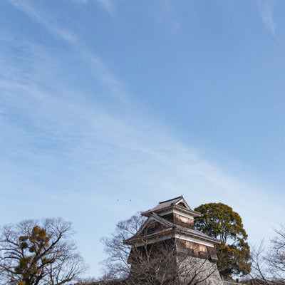 青空を流れる雲と熊本城内の櫓の写真