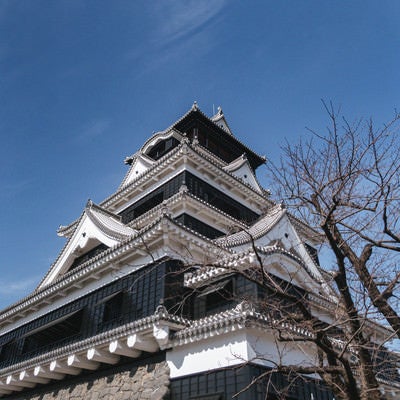 見上げた空と熊本城天守閣（熊本県熊本市）の写真