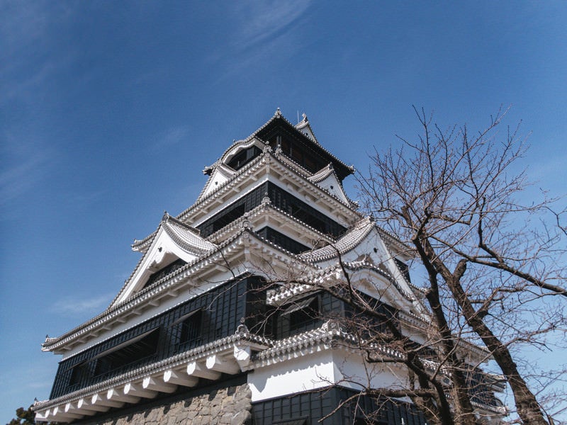 見上げた空と熊本城天守閣（熊本県熊本市）の写真