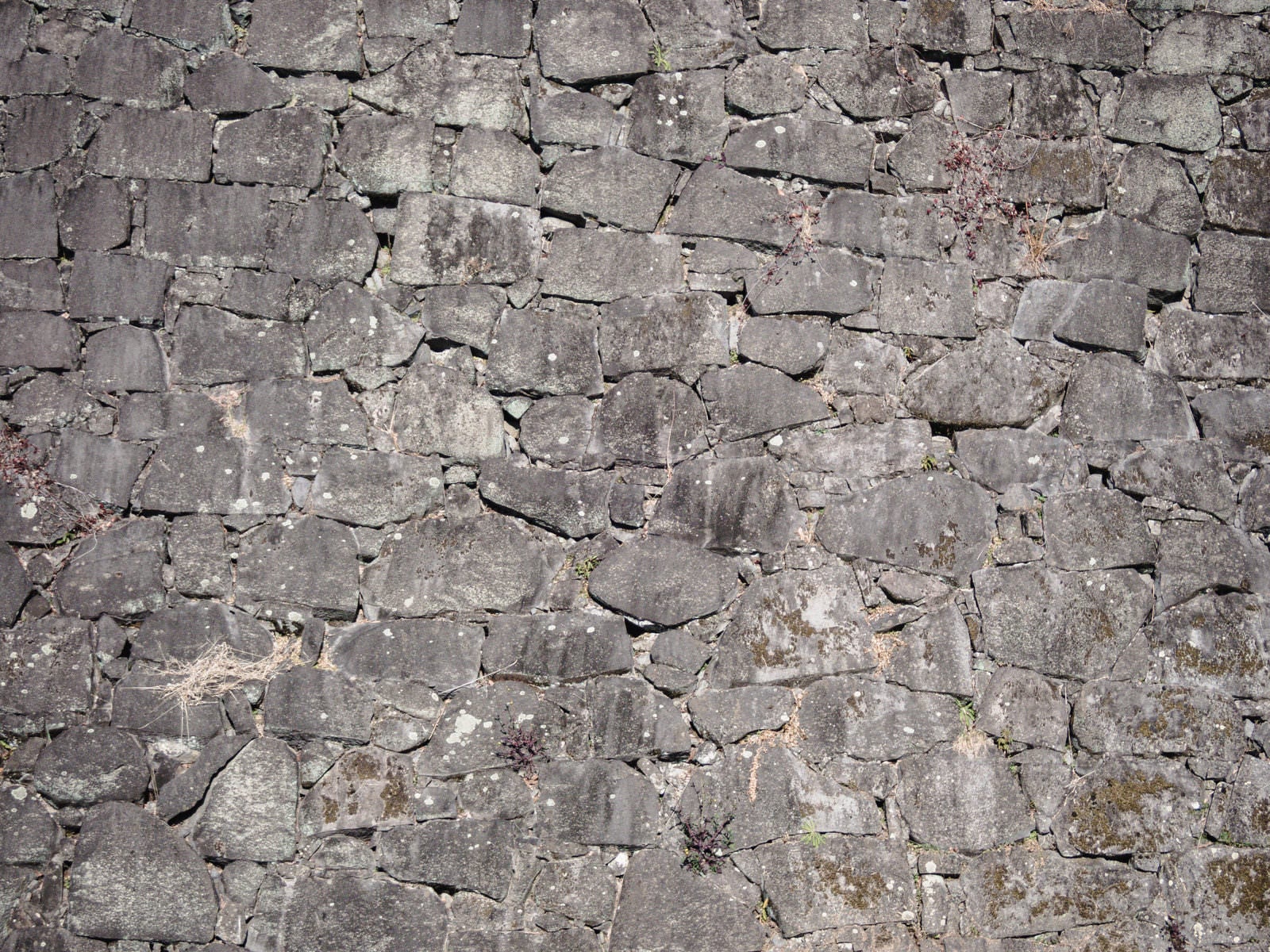 「熊本城跡の石積み」の写真